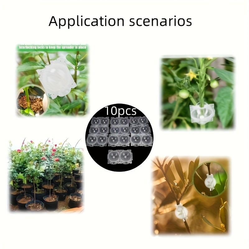 5 Transparent Root Growth Boxes, Root Ball Grafting Tool, High Pressure Plant Propagation, Air Layering Pod, Garden Tree Rooting and Propagation Balls