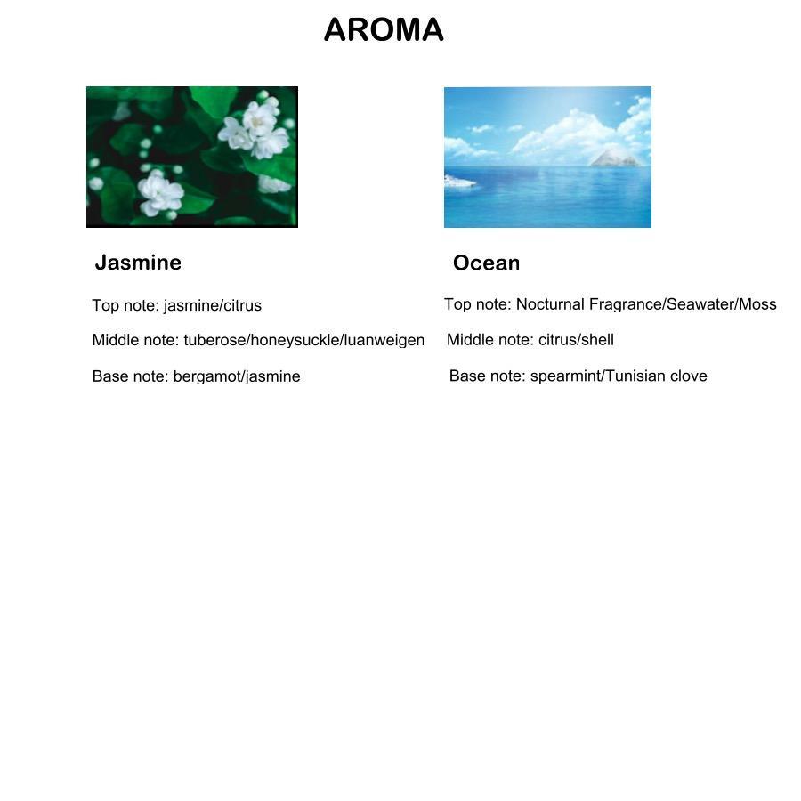 50ml Reed Diffuser with Stick, Aromatherapy Essential Oil Diffuser, Home Fragrance Reed Diffuser for Bathroom, Bedroom, Living Room, Office