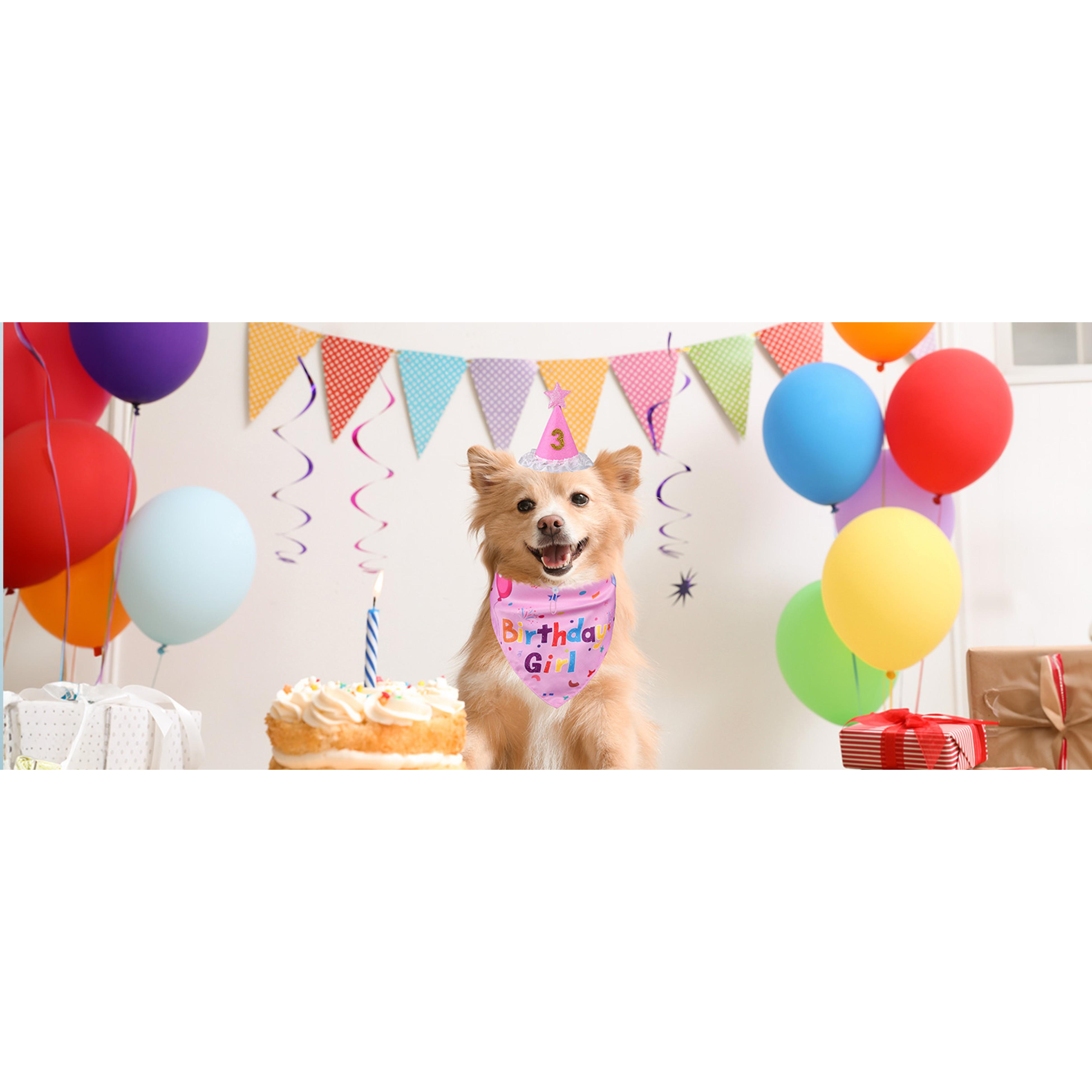 Fun Cotton Double-Sided Dog Birthday Party Supplies Set - Bandanas, Numbered Hat, Flag, Balloon, Photo-Ready Pet Outfit, Canine Dressing Up Gifts (27.5x18.1x18.1 inch Set, 3inch(Diameter)x4.4inch(Height) Components, Multi-Size for Small/Medium/Large Pets)