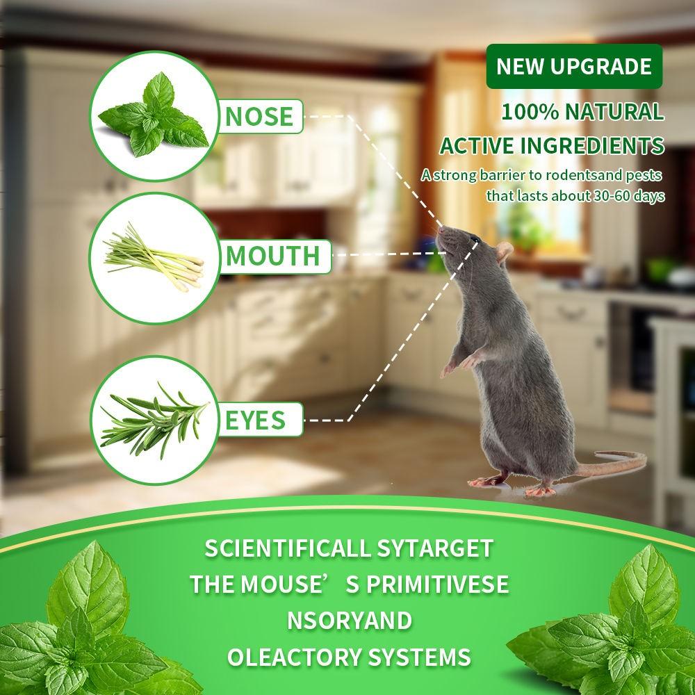 Natural Peppermint Repellent Balls • BUY 1 GET 1 FREE Popular Natural Rodent Repellent Balls! Infused with peppermint and lemon oil, these balls effectively deter squirrels, rats, spiders,