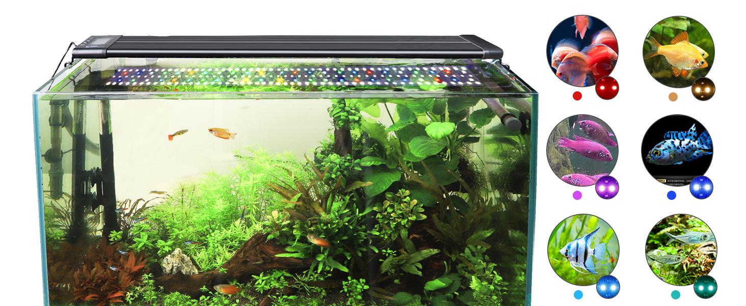 hygger Aquarium Programmable LED Light, for 12~55in Long Full Spectrum Plant Fish Tank Light with LCD Setting Display, 7 Colors, Sunrise Sunset Moon and DIY Mode, for Novices Advanced Players