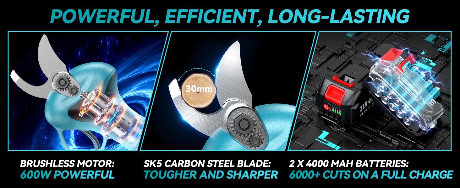 SeeSii 2-in-1 Cordless Electric Pruning Shears with Pole, 15Ft Reach, 1.2" Cutting Diameter, 21V 2x 4000mAh Batteries, Battery Powered Tree Pruner with Brushless Motor for Efficient Branch Trimming PS100 #TikTokShopBlackFriday