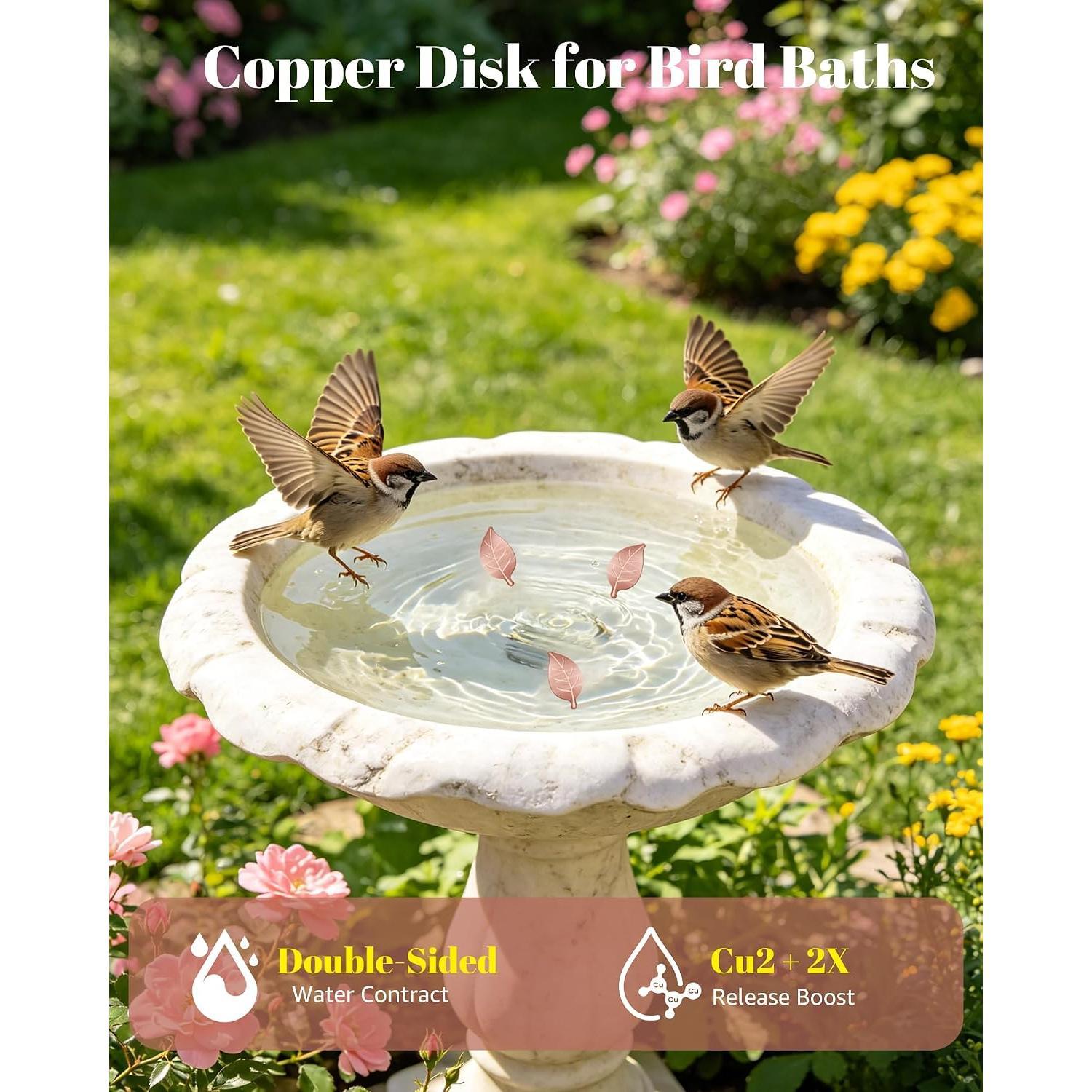 3-Count Pure Copper Bird Bath Cleaning Disk, 0.6mm Reinforced 99.99% Pure Copper Purification Disk - Leaf Shape for Outdoor Birdbaths, Bowls, Fountains