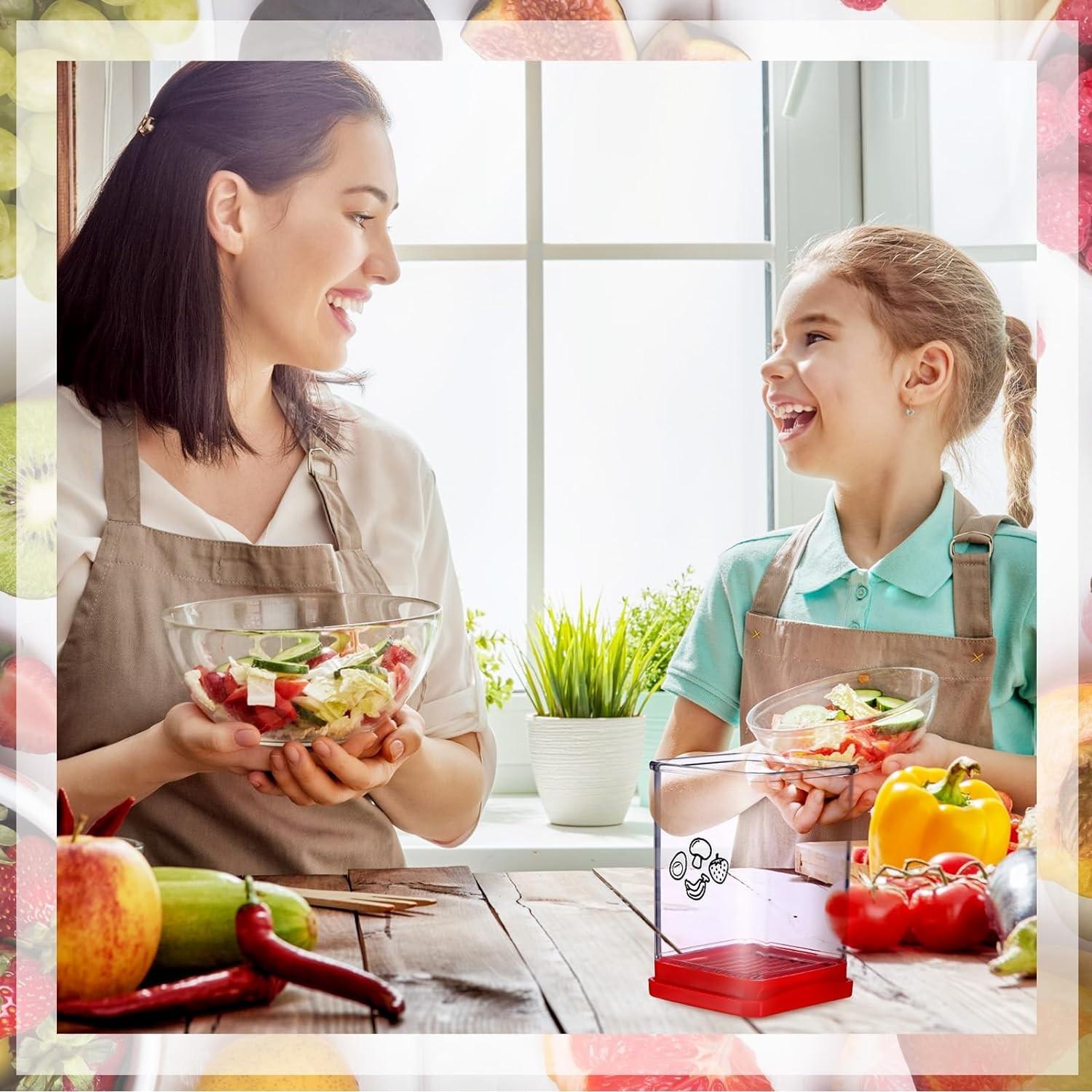 Multifunctional Fruit & Vegetable Slicer, Vegetable Cutting Slicer, Portable Cup Slicer, Egg Cutter with Stainless Steel Blade, Household Kitchenware, Kitchen Gadget, Strawberry Slicer