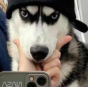 Serendipity Decor Store