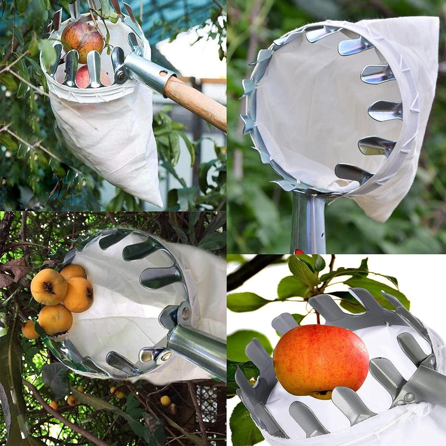 2 Meter Extendable Fruit Picker Tool, Efficient Apple & Plum Picking Device, High Reach Garden Harvesting Equipment for Gardening Needs