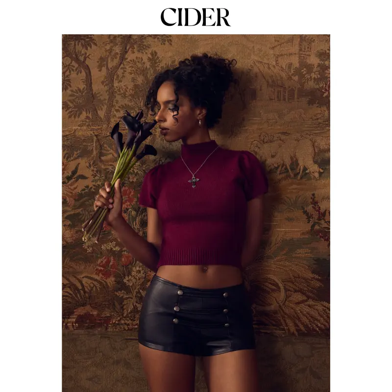 Cider Knit High Neck Puff Sleeve Short Sleeve Top
