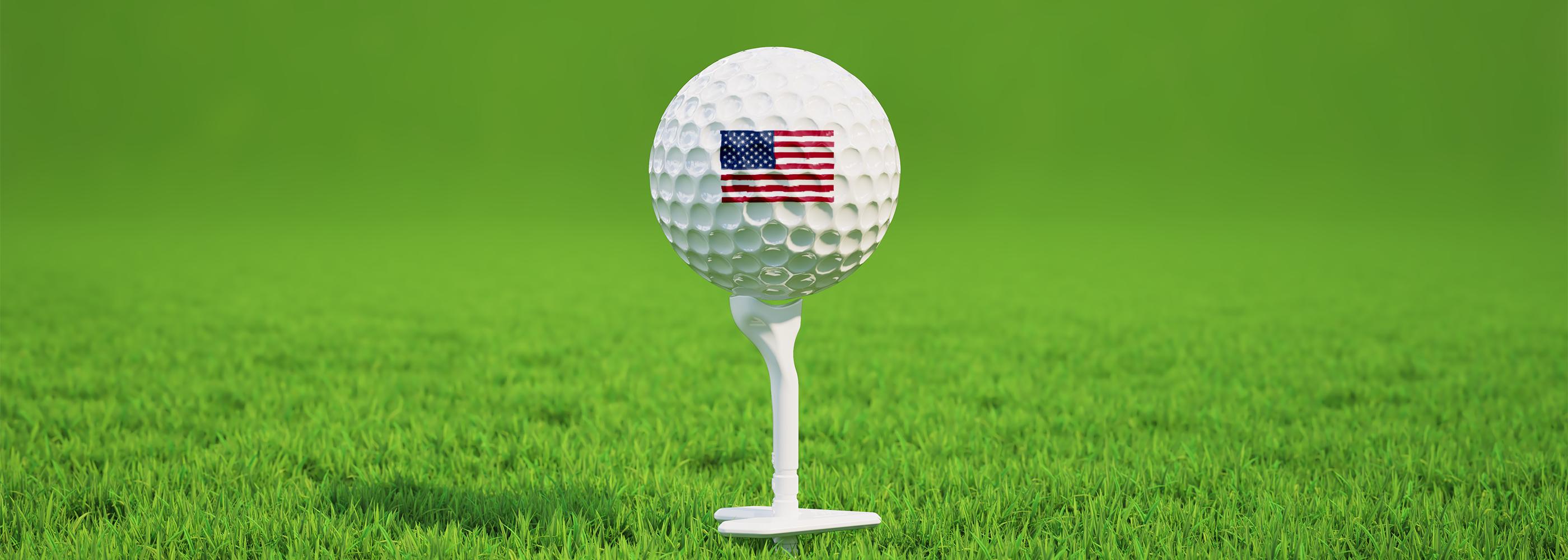 Ask Echo Golf Professional Golf Mark Tee 10pcs/Box