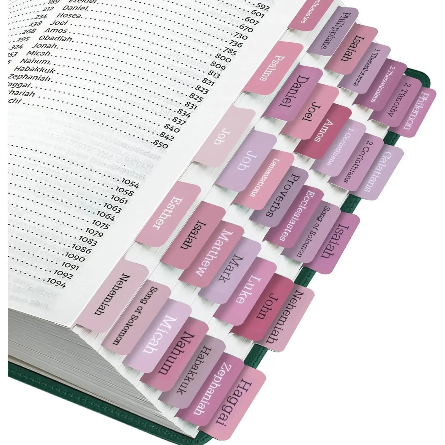 Laminated Index Tabs, 75-Count, Large Print Easy-to-Read, Office Index Divider Tabs with Easy Nav for Efficient Document Navigation