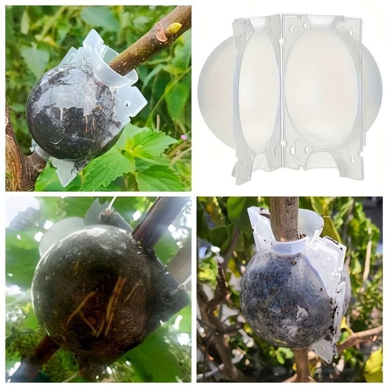 5 Transparent Root Growth Boxes, Root Ball Grafting Tool, High Pressure Plant Propagation, Air Layering Pod, Garden Tree Rooting and Propagation Balls