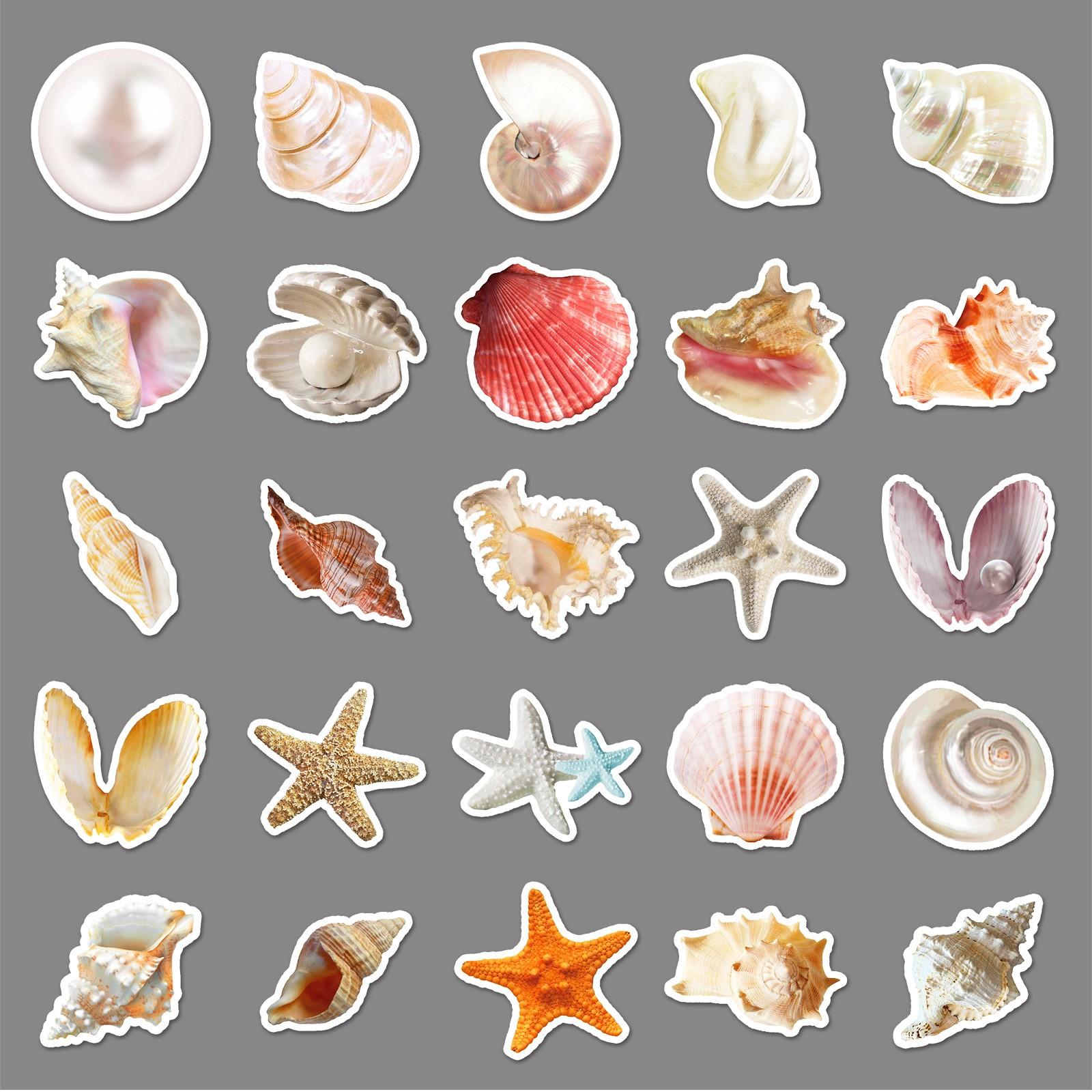 50pcs Cute Seashell Stickers, Waterproof Vinyl Decals, Cartoon Starfish Conch Pearl Stickers, DIY Scrapbook Journal Stickers Pack