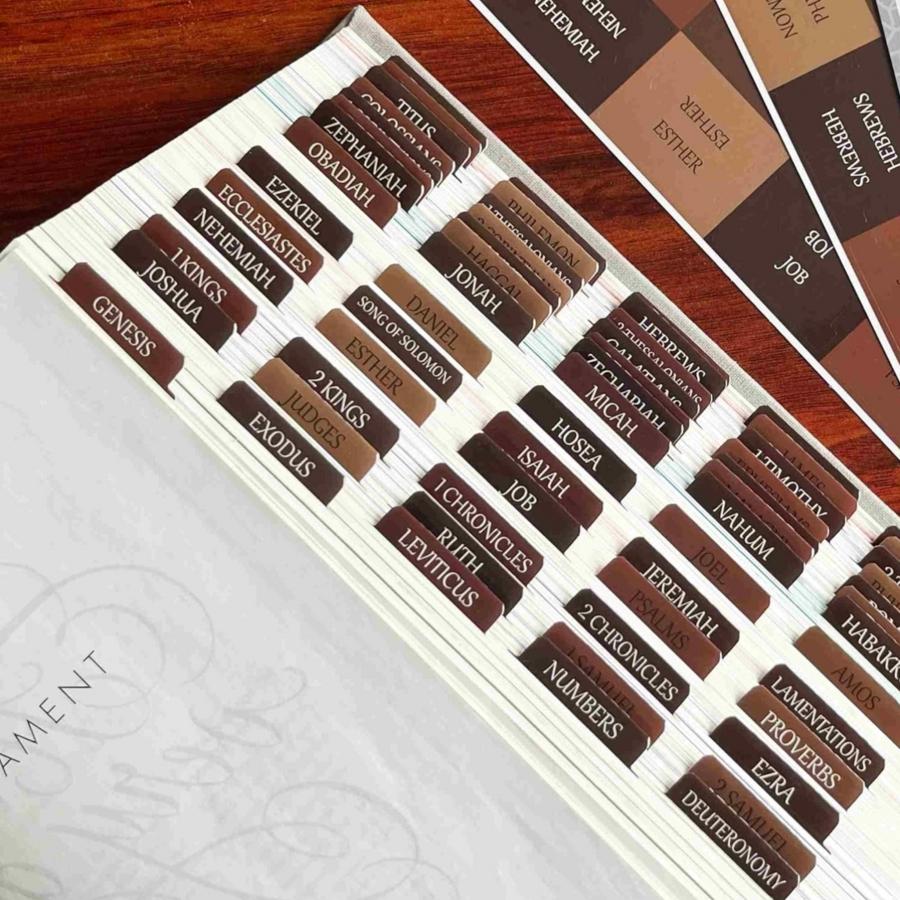 80pcs Thinkor Reposition Laminated Bible Tabs, Adhesive Tabs, Large Print Book Reading Stickers, Book Accessories, Easy to Read and Apply, Earthy, for Men and Women