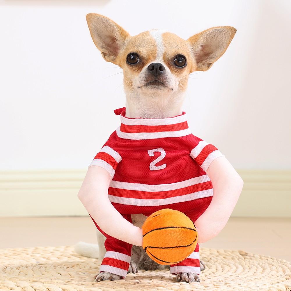 Pet Basketball Transformation Costume, Humanoid Ball Design, Striped Sporty Style, Breathable Mesh Strap, Small Dogs (chihuahua/pomeranian/teddy)