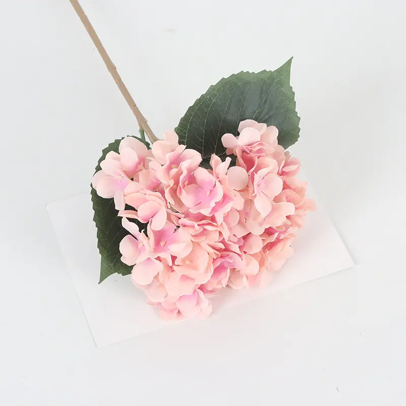 Champagne pink