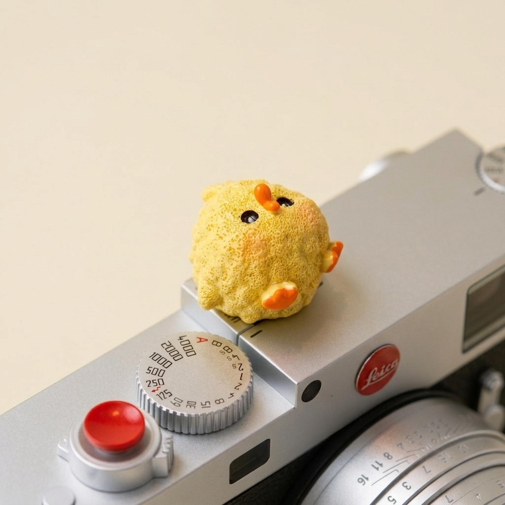 Cute Chicken Camera Hot Shoe Cover, Cartoon Animal Flashlight Accessory, Abs Resin Material, Battery-Free Decorative Protection Cap, Compatible with Dslr and Mirrorless Cameras, Photography Gift