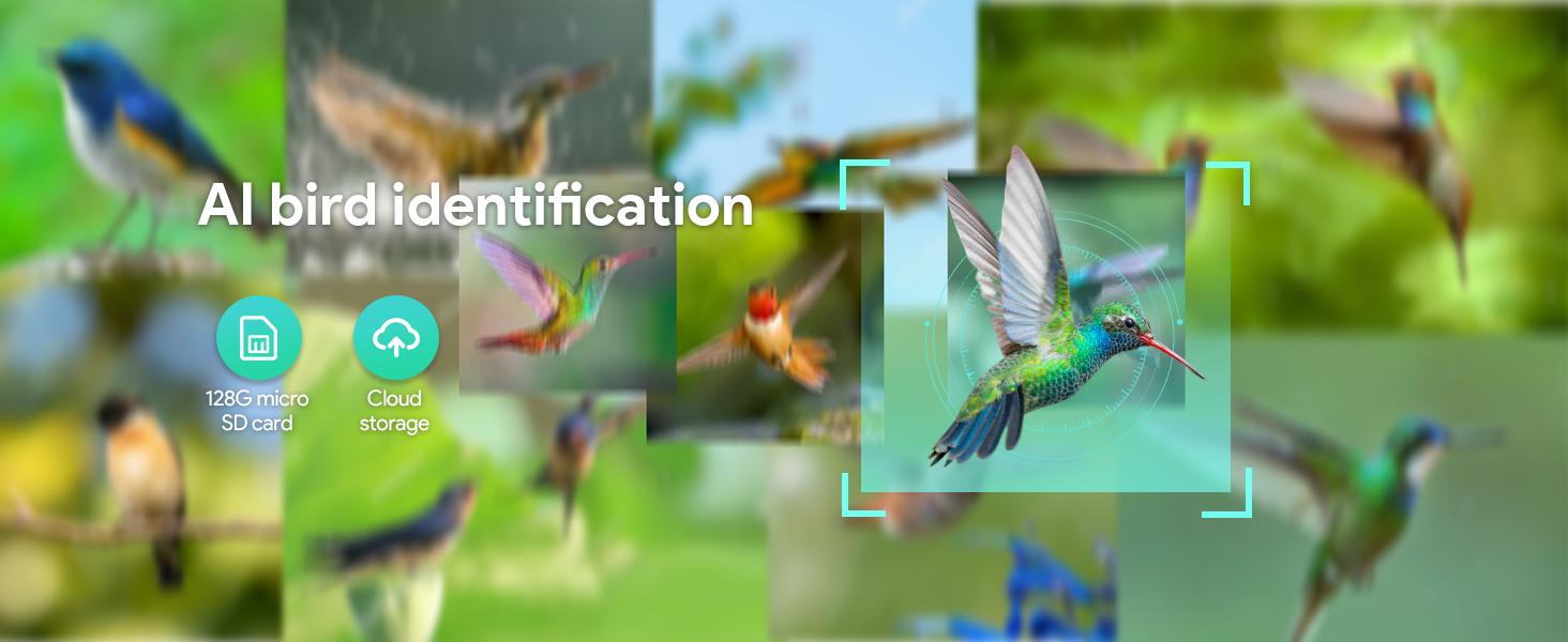 Osoeri Bird Feeder with Camera, Smart Bird Feeder Camera with AI Identify, Metal Bird Feeder with Suet Cage & Fruit Fork, Auto Capture Bird Videos & Motion Detection, Ideal Gift for Bird Lovers