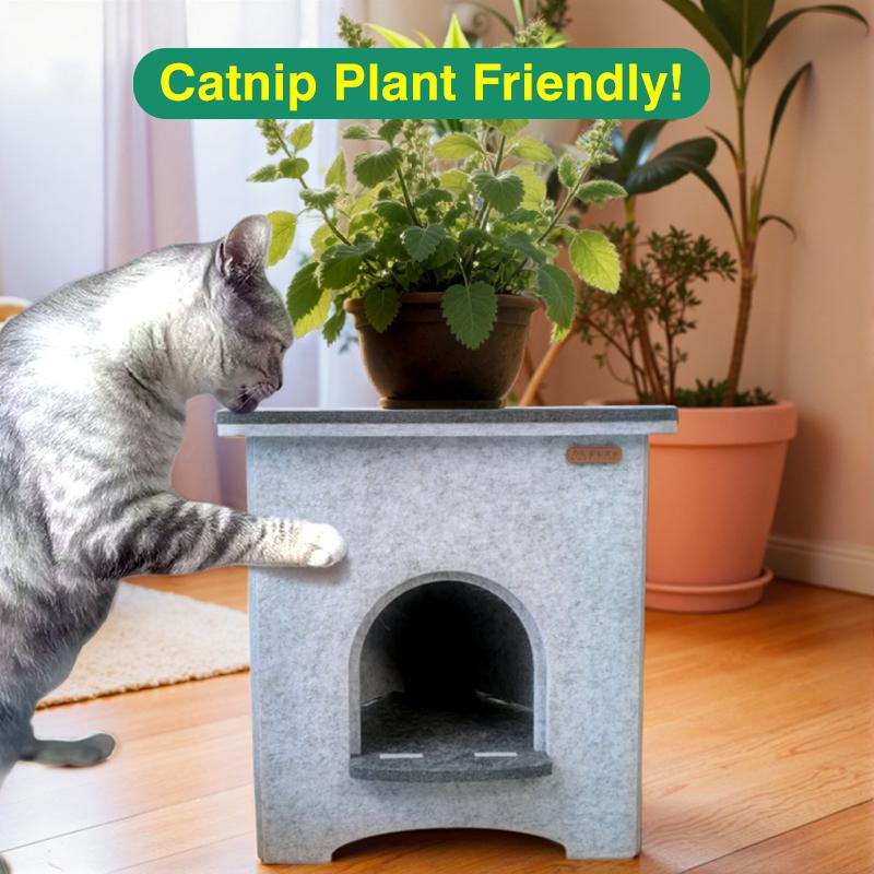 Triangular Flower Pet Nest – Compact Hideaway for Small Indoor Cats! Scratch - Resistant & Easy to Assemble apartment cat Triangular Flower Pet Nest – Compact Hideaway for Small Indoor Cats! Scratch - Resistant & Easy to Assemble apartment cat