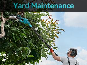 SeeSii 2 in 1 Cordless Pole Saw & Mini Chainsaw with 2 Batteries, Power Electric Polesaw for Tree Trimming, Chain Saw with Extension Pole, 16ft Reach, Limb Branch Cutter Pruner CH800 #TikTokShopBlackFriday SeeSii 2 in 1 Cordless Pole Saw & Mini Chainsaw with 2 Batteries, Power Electric Polesaw for Tree Trimming, Chain Saw with Extension Pole, 16ft Reach, Limb Branch Cutter Pruner CH800 #TikTokShopBlackFriday