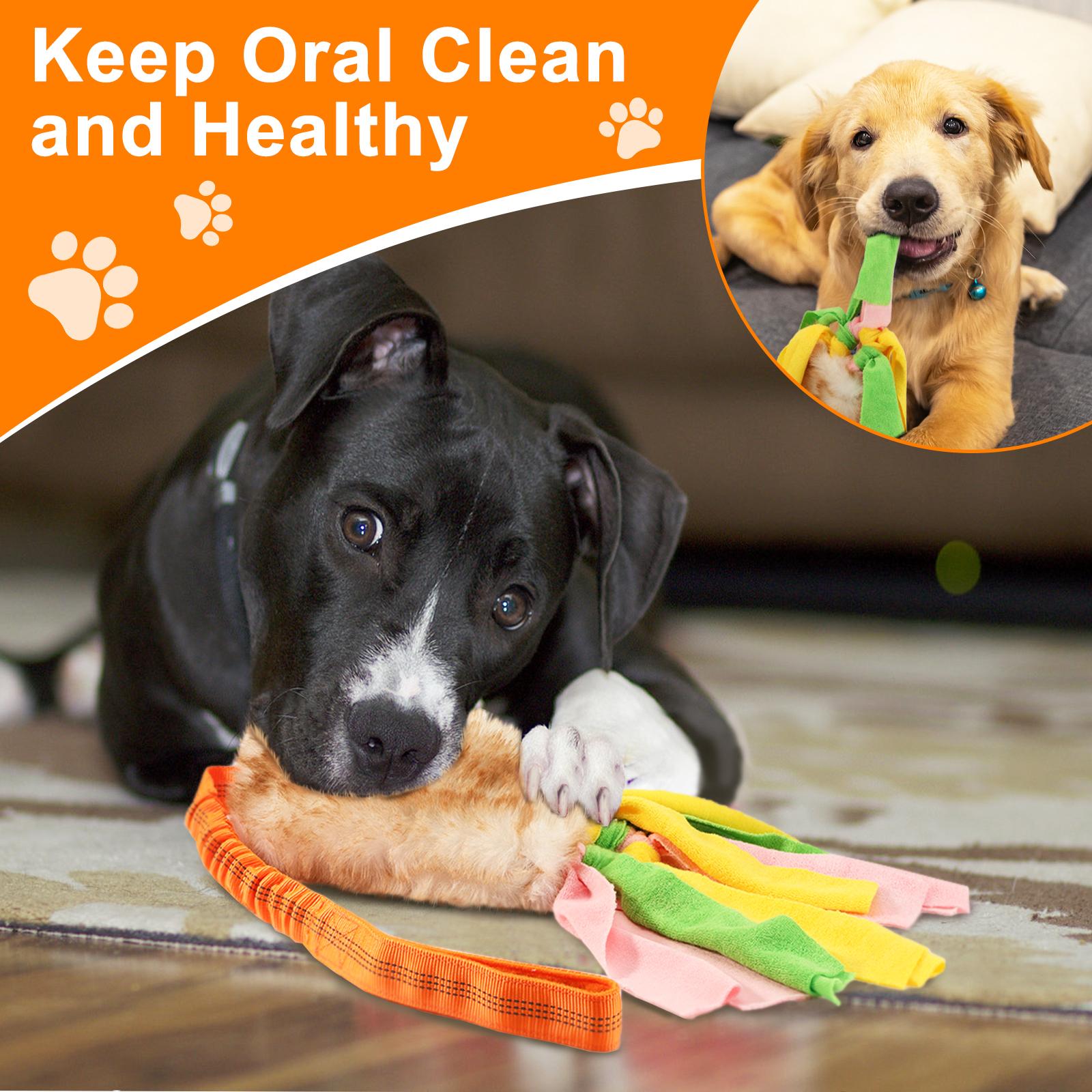 Pawaboo Pet Gifts Plush Toy for Dogs, Interactive Dog Chew Toy with Elastic Handle to Play, Soft Polar Fleece No Stuffing Puppy Toys for Small Dogs, Stimulating Pet Toys for Puppies with Colorful Strips