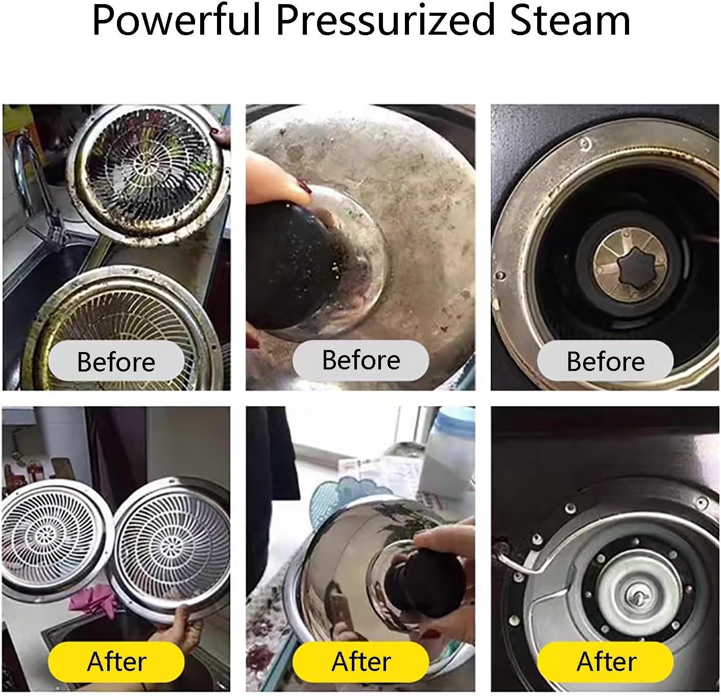 2500W Handheld Steam Cleaner, high-temperature and high-pressure steam cleaner, portable car steamer with 16 accessories, suitable for kitchen grease, car detailing, and bathroom cleaning.