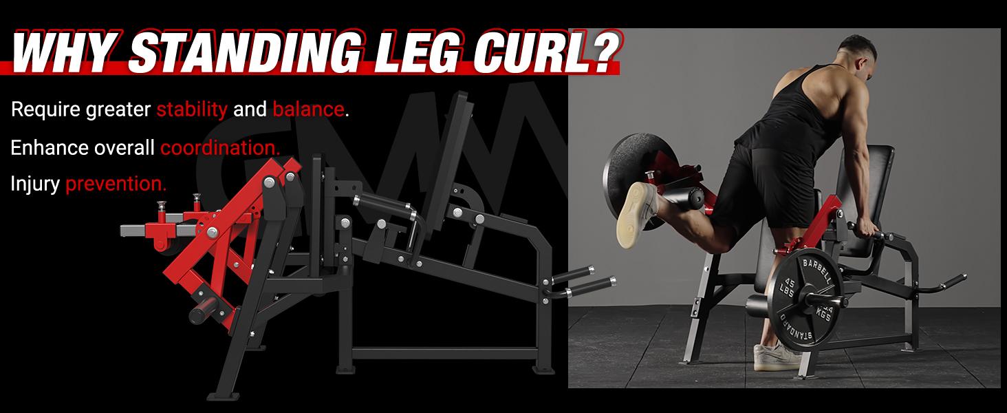 Leg Extension & Curl Machine - Single Leg Extension for Home Gym Fitness Workout Equipment, Adjustable Plate-Loaded Exercise Bench SpringStatements