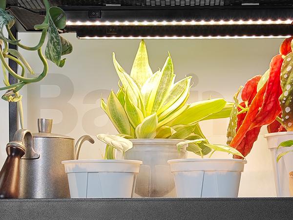 Barrina T5 Grow Lights with Black Cover, 1FT 10W (2 X 5W) with Magnetic Design, Full Spectrum, Plug and Play, Linkable, Yellow, 2 Packs