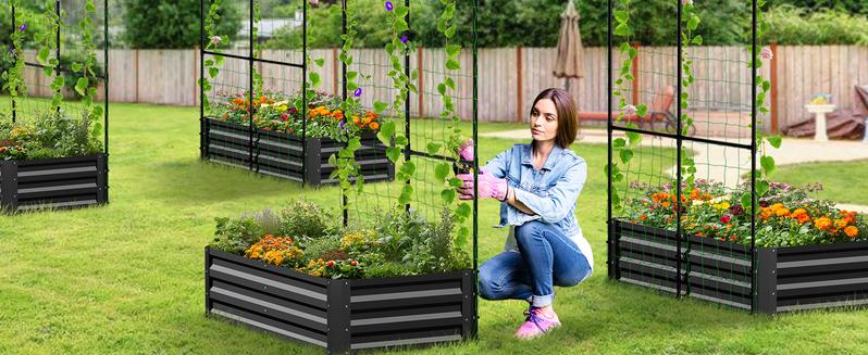 Lilypelle 3 in 1 Raised Garden Bed with Tall Arch Trellis for Climbing Plants, Galvanized Planter Box Outdoor for Gardening, Vegetables, Flower