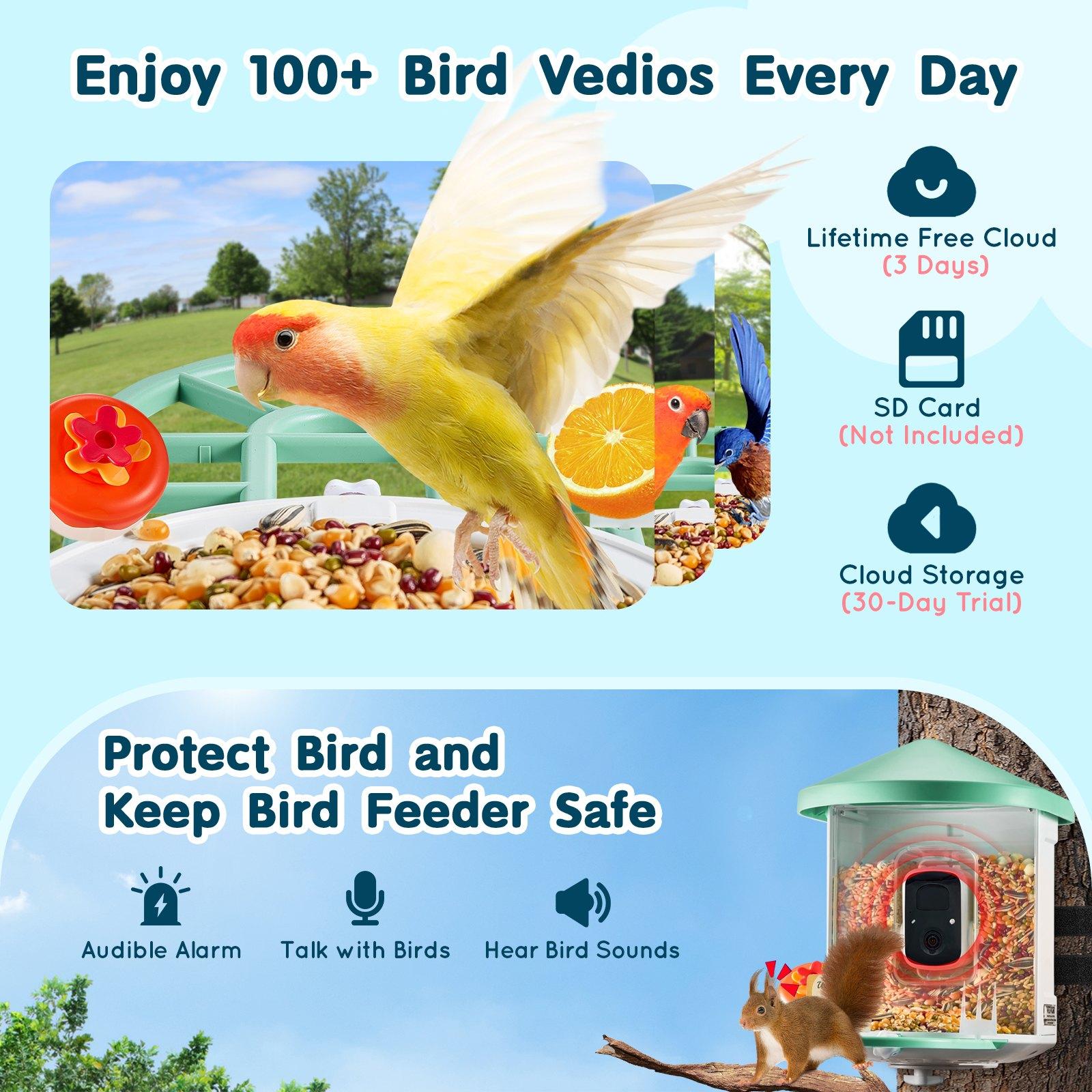 VEVOR Smart Bird Feeder with Camera, 2K HD AI Identify 10,000+ Bird Species, Solar-Powered Bird Watching Camera with Auto Capture & Instant Notify, Wireless Outdoor Ideal Gift for Bird Lovers (Green) VEVOR Smart Bird Feeder with Camera, 2K HD AI Identify 10,000+ Bird Species, Solar-Powered Bird Watching Camera with Auto Capture & Instant Notify, Wireless Outdoor Ideal Gift for Bird Lovers (Green)