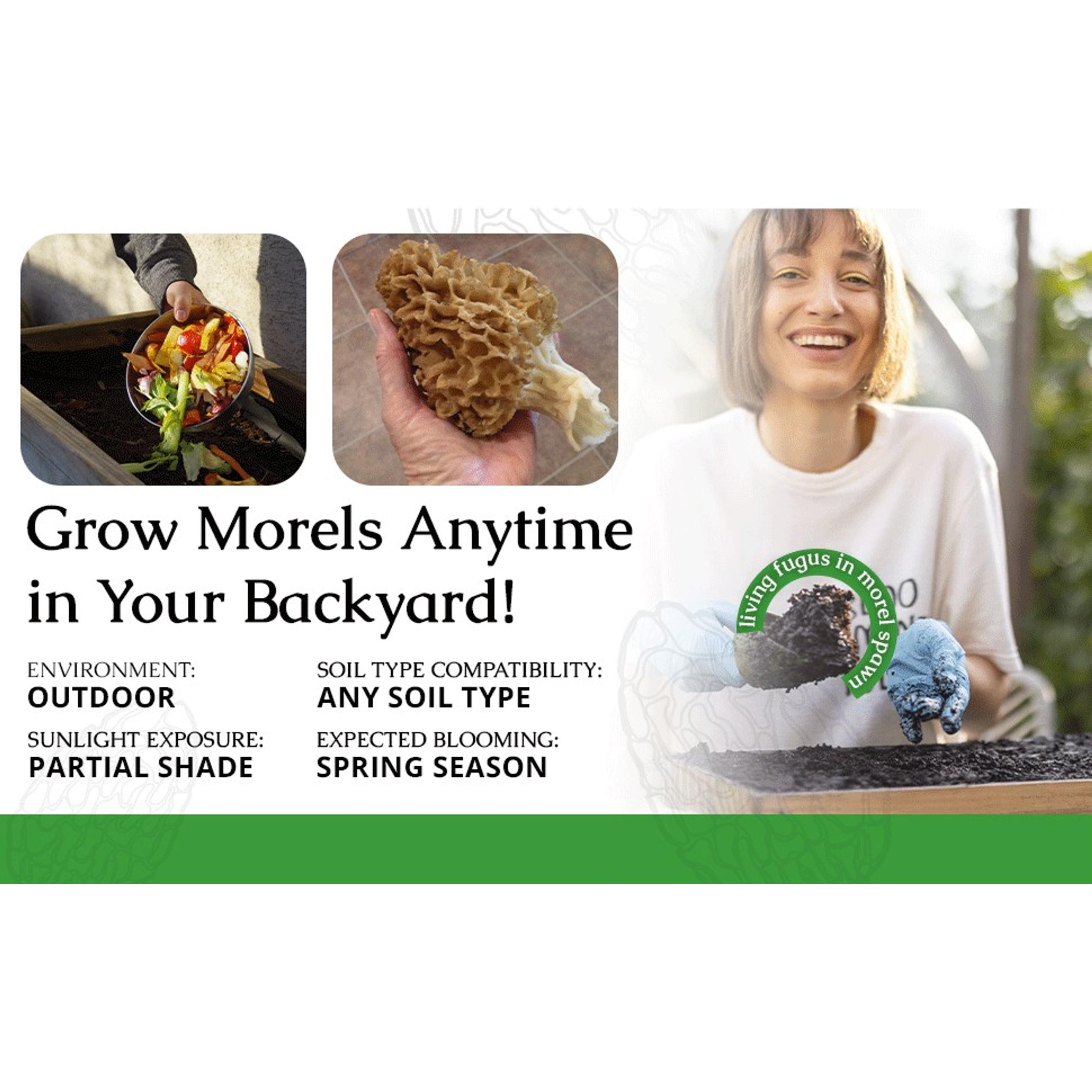 Morel Mushroom Growing Kit (Morchella) | Compatible with Any Soil Type Across the U.S., Outdoor Garden & Backyard Cultivation, Full Instructions Included Morel Mushroom Growing Kit (Morchella) | Compatible with Any Soil Type Across the U.S., Outdoor Garden & Backyard Cultivation, Full Instructions Included