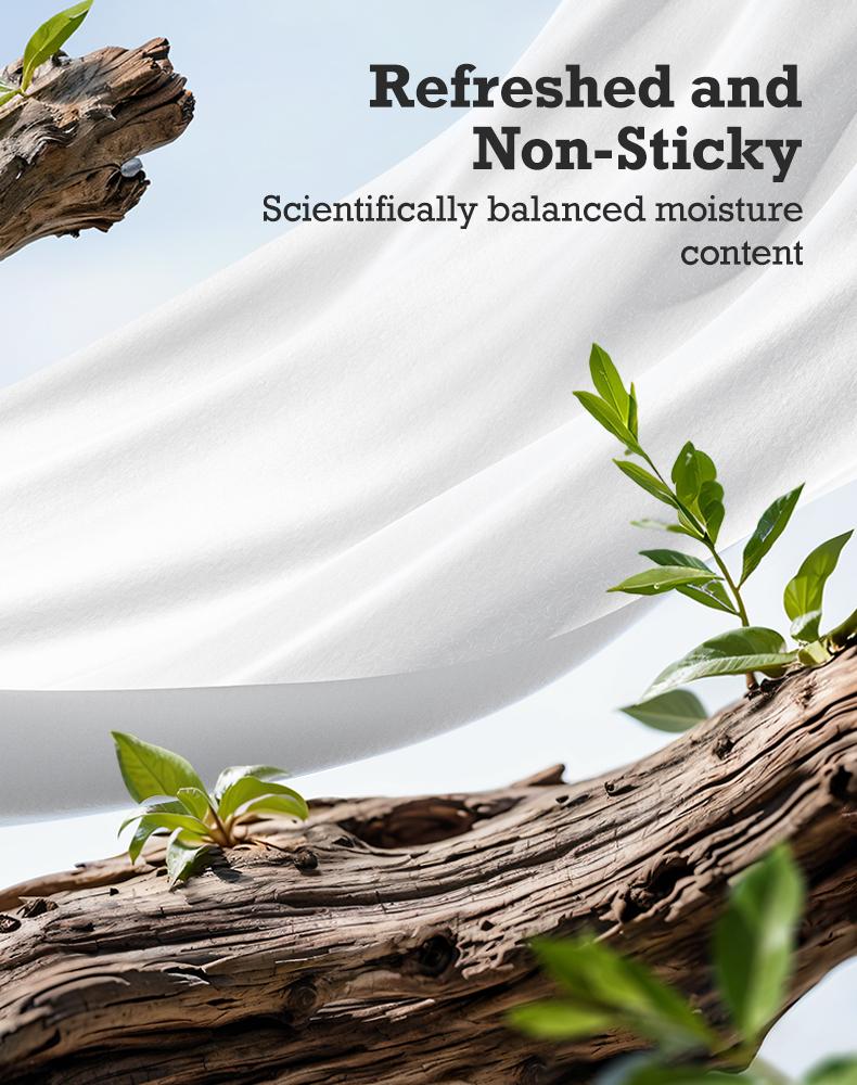 Matern’ella Hanging fragrance free Wet Wipes with Probiotics, XL Size Adult Wipes Made of Plant - Based Fibers,Alcohol-Free,Butt Wipes, 240/640 Wipes in Total Wet Wipes with Sustainable Hygiene Soft Mild Formula Suitable for Travel toilet paper Matern’ella Hanging fragrance free Wet Wipes with Probiotics, XL Size Adult Wipes Made of Plant - Based Fibers,Alcohol-Free,Butt Wipes, 240/640 Wipes in Total Wet Wipes with Sustainable Hygiene Soft Mild Formula Suitable for Travel toilet paper