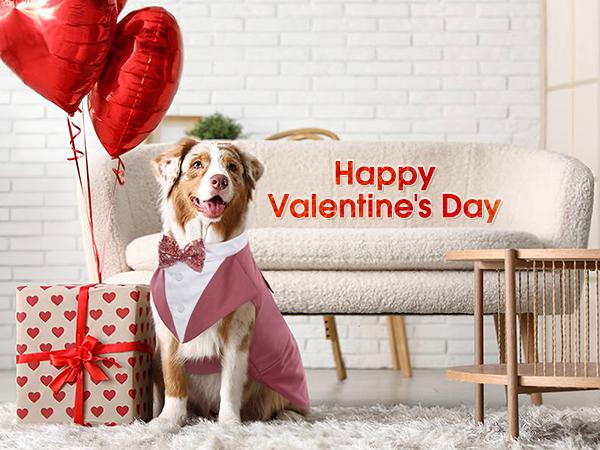 Kuoser Dog Tuxedo Dog Suit and Bandana Set, Dogs Tuxedo Wedding Party Suit, Dog Prince Wedding Bow Tie Shirt Formal Dog Wedding Attire for Large and Medium Dogs Golden Retriever Samo Bulldogs