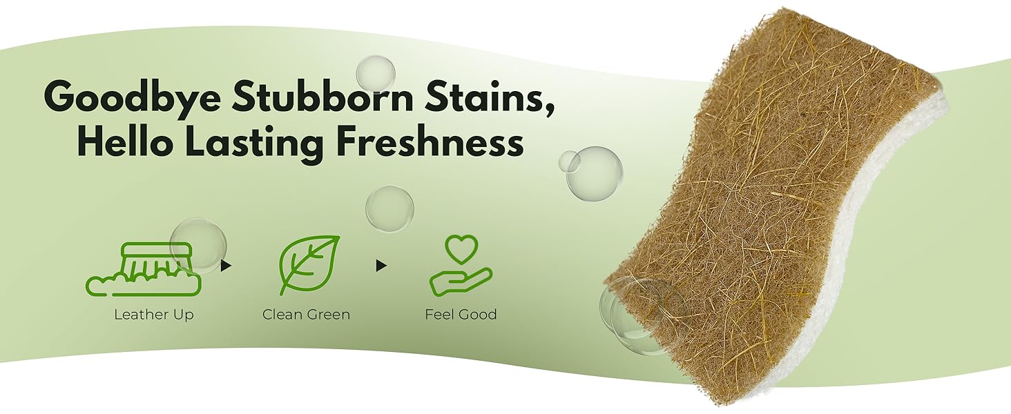 Natural Kitchen Sponges (12 Pack) - Biodegradable Cellulose & Coconut Scrubber Dish Sponges for Kitchen - Eco-Friendly, Non Scratch, Compostable, Non Toxic S-Shaped Natural Sponges for Dishes