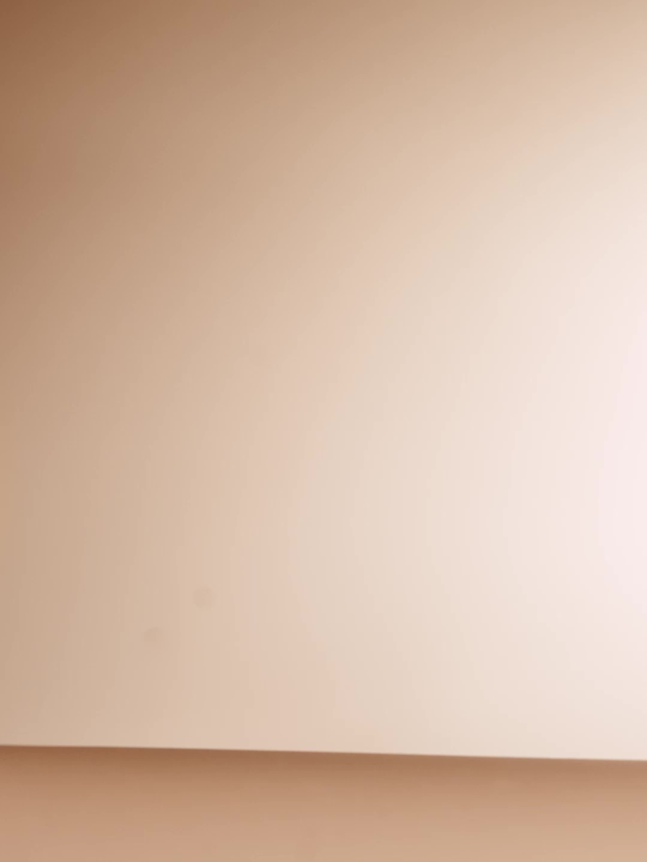 Cushion Foundation, 24-hour Two-in-one, Long-lasting, Oil-controlling, Matte, Soft-focus, Concealing, Makeup Powder Foundation, An Essential for Daily Use. Otwoo