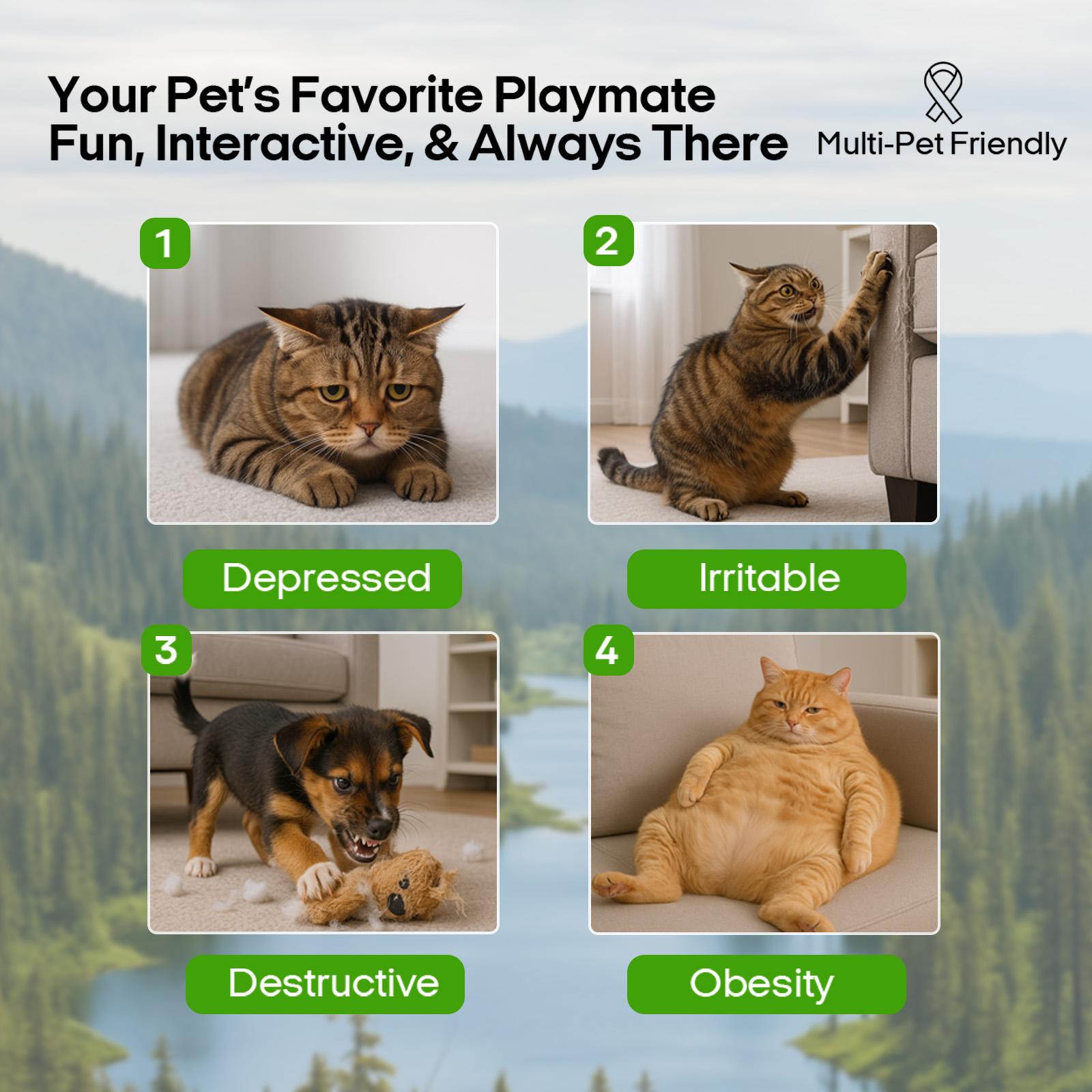 Vagascape Ugly Finch, Cat&Dog Toy,Interactive Rechargeable Toy on Rug with Bird Chirping, Anti-Depression Fun Gift for Cats & Dogs, Pet Supplies, Dog & Cat Accessories, Pet Products, Funny Gift, Cat stuff