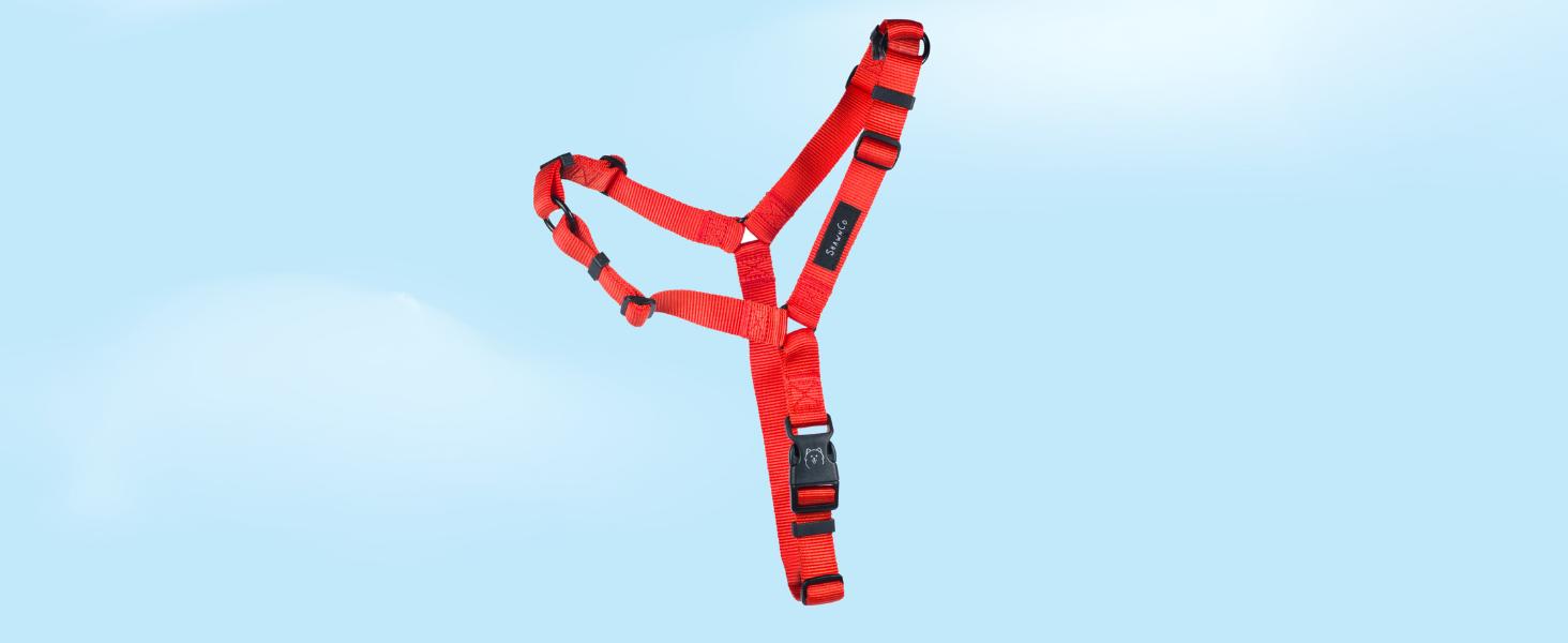 Dream Walk No-Pull Dog Harness- Adjustable, Comfortable, Easy to Use Pet Halter to Help Stop Pulling for Small, Medium and Large Dogs (Seafoam, L)