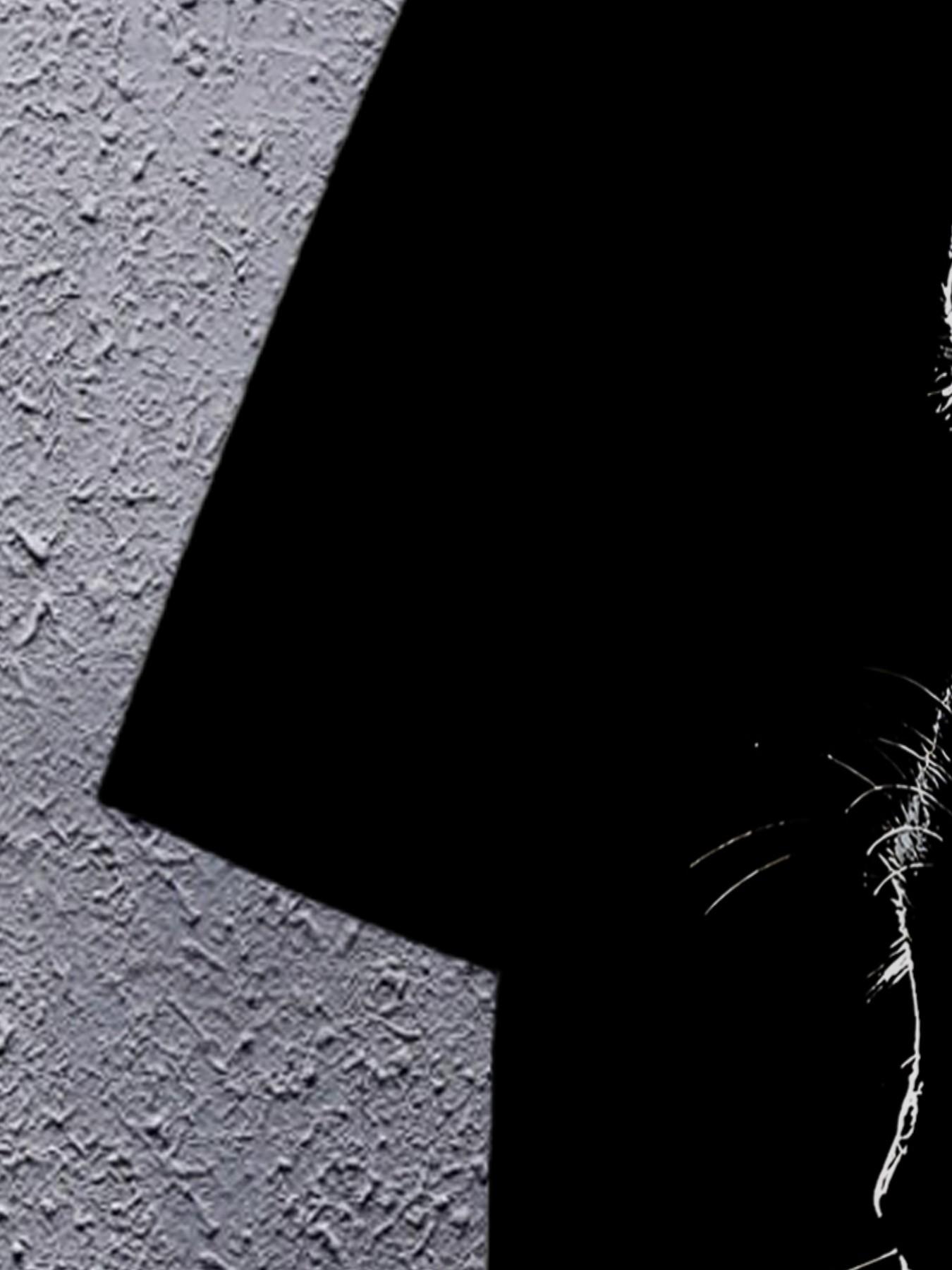 New Casual 3D American Digital Print Round Neck T-Shirt, Comfortable Fabric, Breathable, Not Hot, Short Sleeve, All Seasons