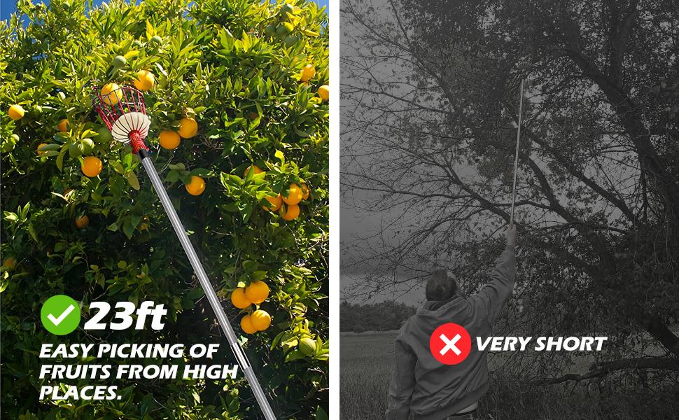 Walensee 23FT Fruit Picker, Adjustable Fruits Picker Tool with Fiberglass Pole, Big Basket and Storage Bag, Fruit Catcher Equipment Tree Picker for Lemons Apples Mango Orange Avocados Fruit Picking