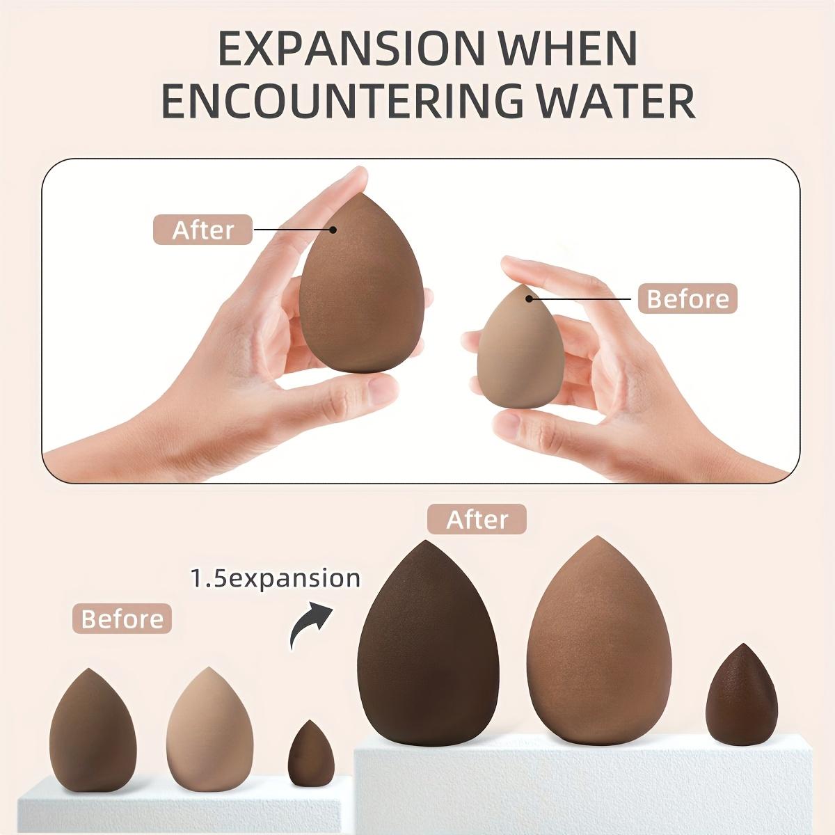 Professional Makeup Brush Set, 7-Piece Cosmetic Tool Kit, Includes Foundation Sponge & Blending Puff, Ideal Gift for Women, Daily Use Essentials, Makeup Brushes Kits