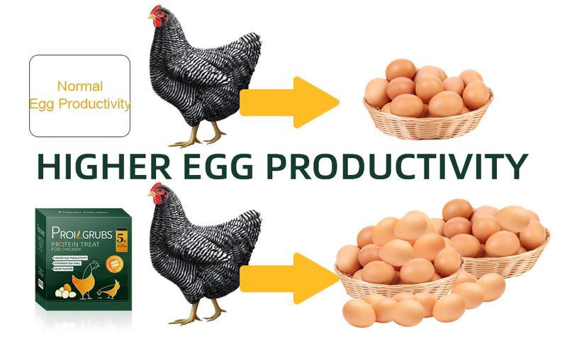 11LBS/10LBS /5 LBS Non-GMO-Dried Worms for Chickens PROILGRUBS All Natural Dried Black Soldier Fly Larvae Treats, Dried Meal Worms for Chickens, Hens, Birds... Egg Productivity High Protein feed