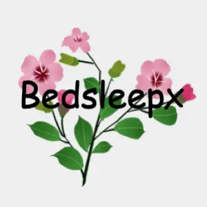 BedsleepX