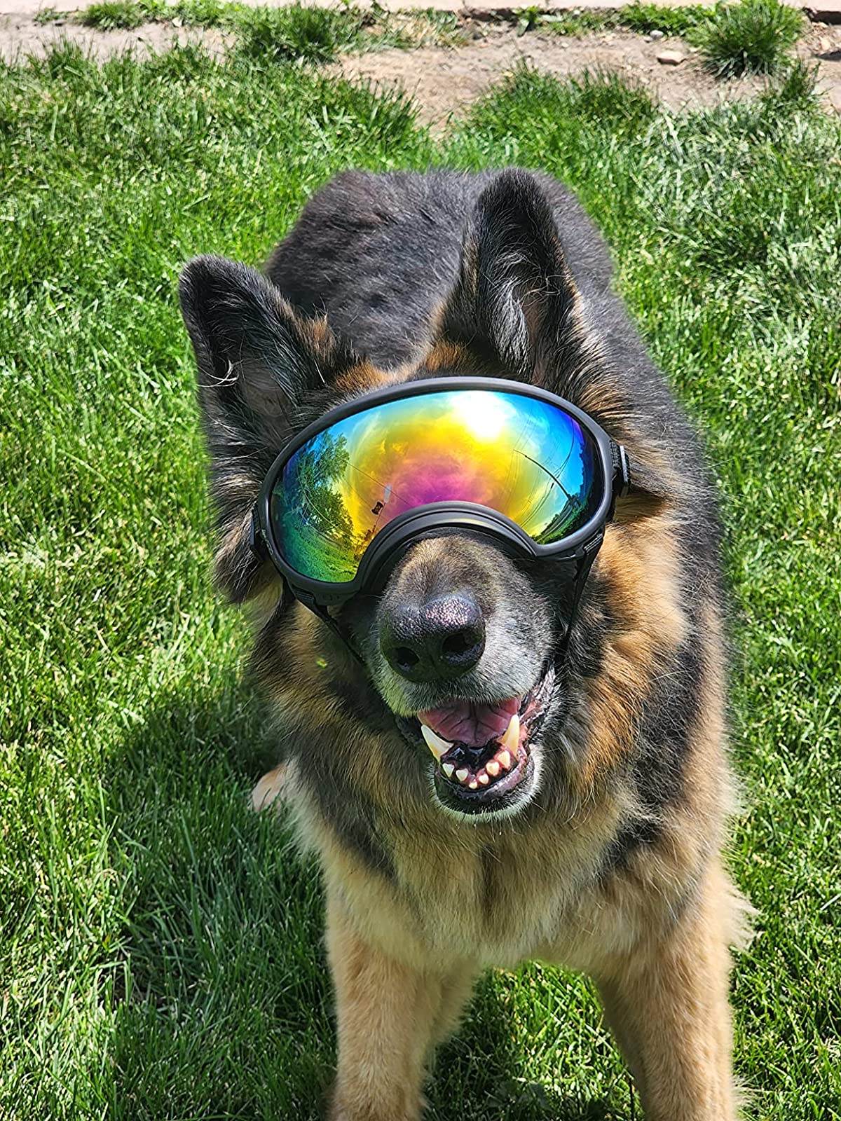 Dog Goggles Sunglasses Anti-UV Sun Glasses Eyewear Protection Adjustable Windproof Sunglasses Pet Dog Supplies For Travel