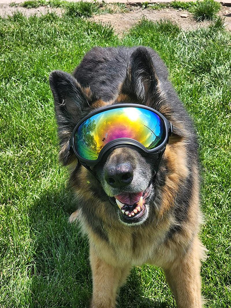 Dog Goggles Sunglasses Anti-UV Sun Glasses Eyewear Protection Adjustable Windproof Sunglasses Pet Dog Supplies For Travel