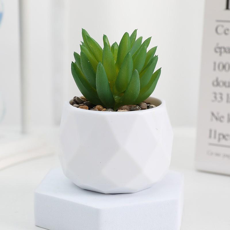 Desktop Decoration, Realistic Mini Succulent Plant, Indoor Decorative Fake Flower, Desktop Ornament, Artificial Succulent Pottery