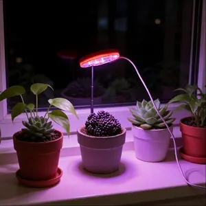 Small Grow Light for Indoor Plants, Full Spectrum Indoor Plant Growth Lamp, LED Plant Lamp with 3 Spectra, Auto Timer, 10 Dimming, Adjustable Height, USB Powered for Home, Office, Greenhouse, Make Plants Bloom and Bear Fruit