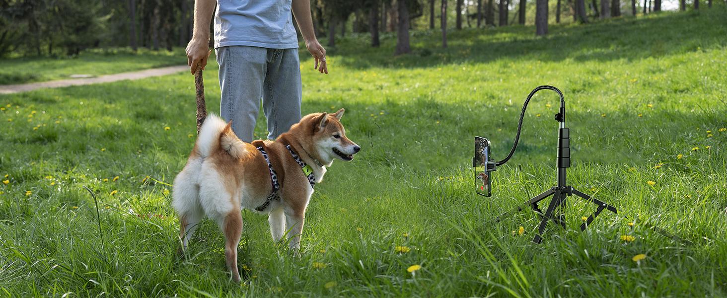 Weilisi 82" Tall Heavy Duty Phone Stand for Recording, Tablet Stand Holder with 15" Adjustable Gooseneck, Overhead Selfie Tripod for iPhone/iPad/Android for Recording/Live Streaming/Watching/Cooking/Lash Techs