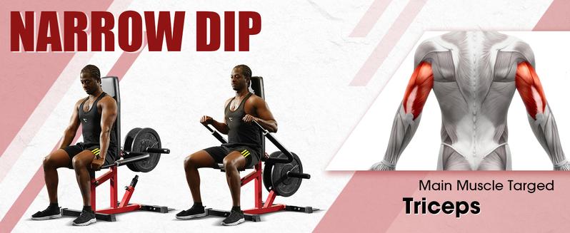 Seated Dip Machine with Cable Bar for Biceps Chest Training, Load Capacity Up to 400LBS, Durable Fitness Equipment Weight Plates Heavy Duty Adjustable