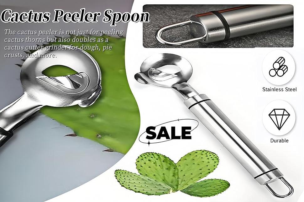 2 PCS Cactus Peeler Spoon,Stainless Steel Cactus Paring Knife and Peeler Spoon,Chinese Noodle Cutter for Cooking Kitchen Gadgets,Utensils & Gadgets for Home Use, Vegetable Cutter multifunctional cactus multi-function cactus