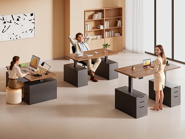 SEDETA 55 Inch Electric Standing Desk with 6 Drawers Adjustable Stand up Desk with Storage Computer Desks with Power Outlets Home Office Workstation