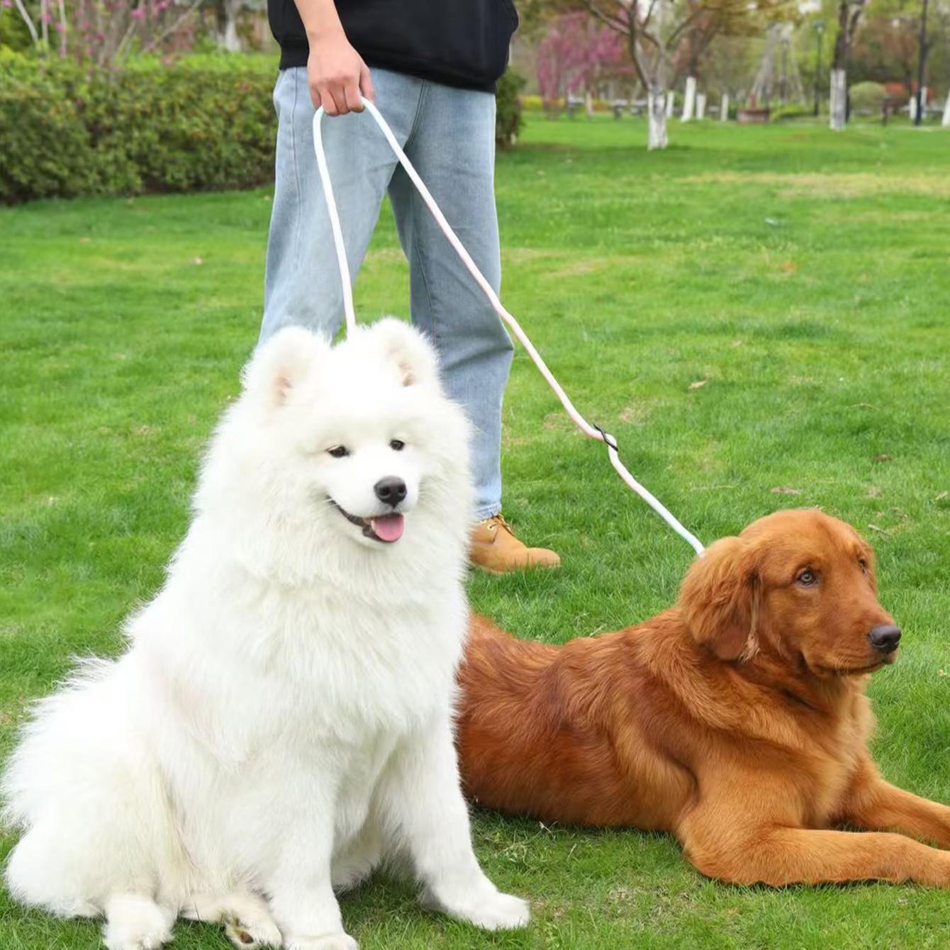 Adjustable Gradient Nylon Pet Leash, Multi-Functional Dog Training Rope, Ideal for Playing, Running, Camping, Backyard Exercise