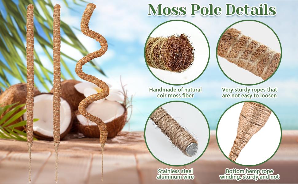 3 Pack Moss Pole,31 Inch Monstera Plant,Bendable Plant Trellis Moss Pole for Plants Monstera,Moss Poles for Climbing Plants Indoor,Coir Plant Pole Sticks Stakes (3pcs)